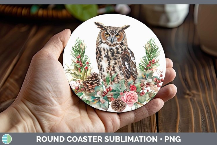 Owl Clipart Image 16