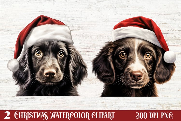 Dogs Png Image 12