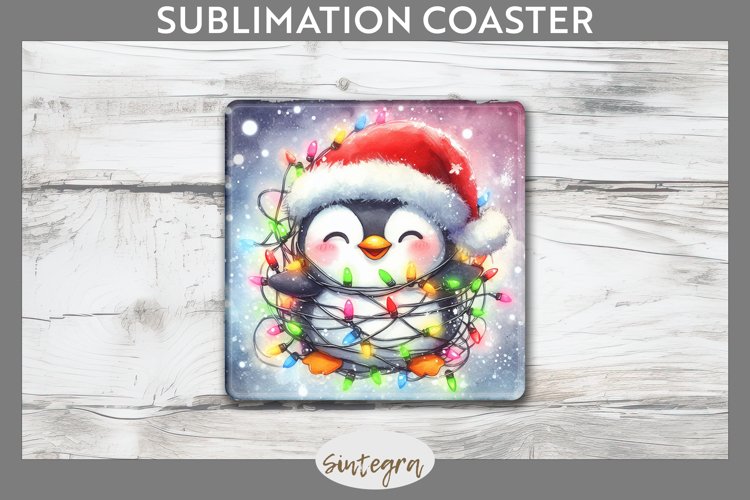 Penguin Png Image 15