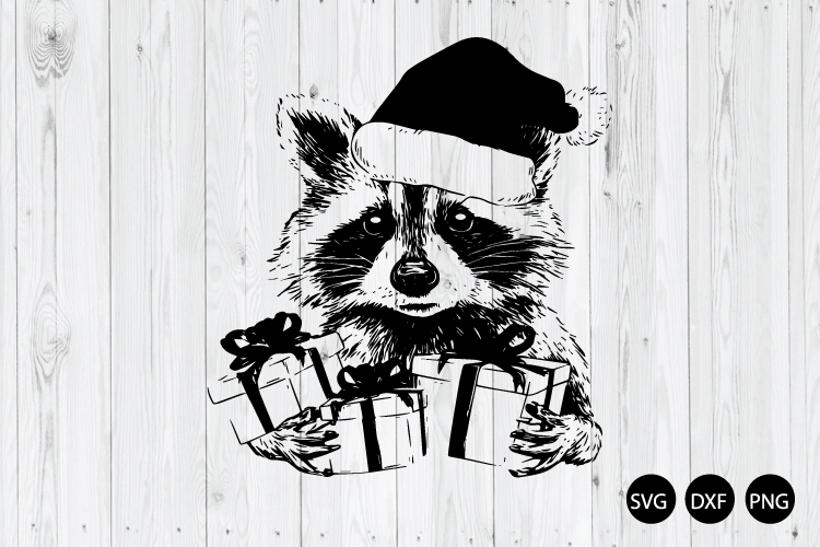 Raccoon Png Image 9