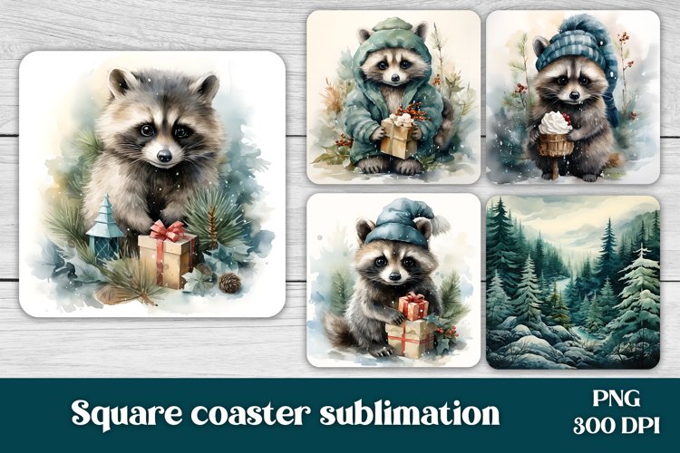 Raccoon Png Image 18