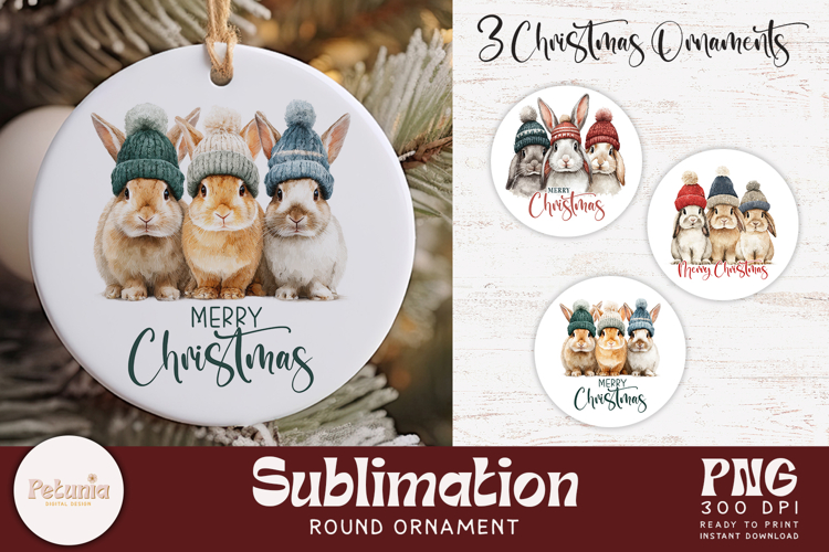 Christmas Ornament Designs | Round Ornament PNG