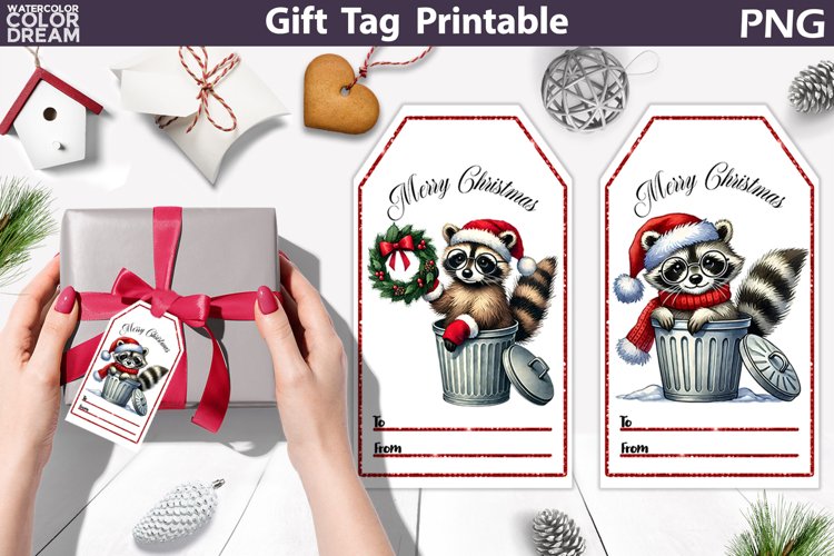 Raccoon Clipart Image 13