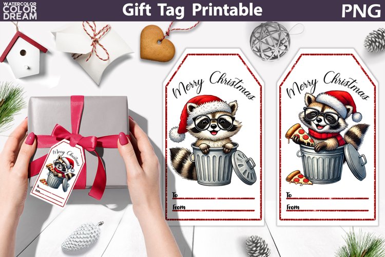 Raccoon Clipart Image 12