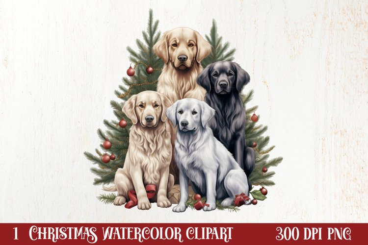 Dogs Png Image 9