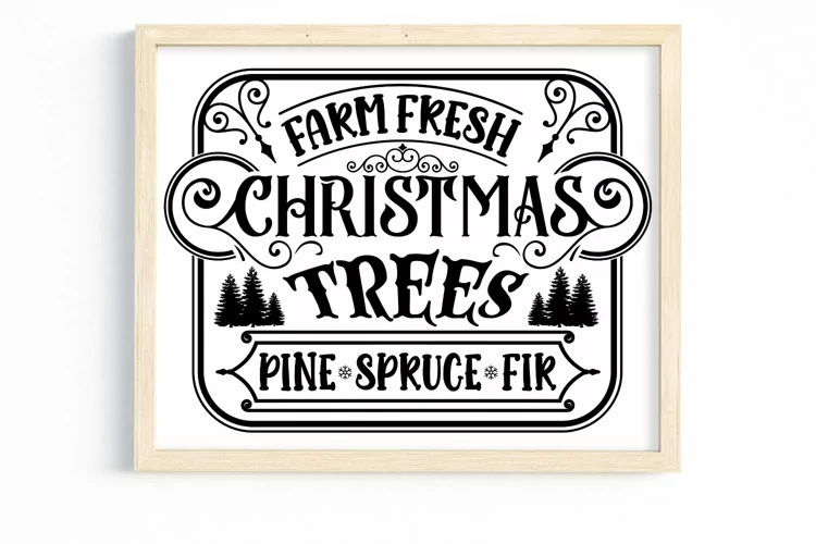 Farm fresh christmas trees pine spruce fir. SVG
