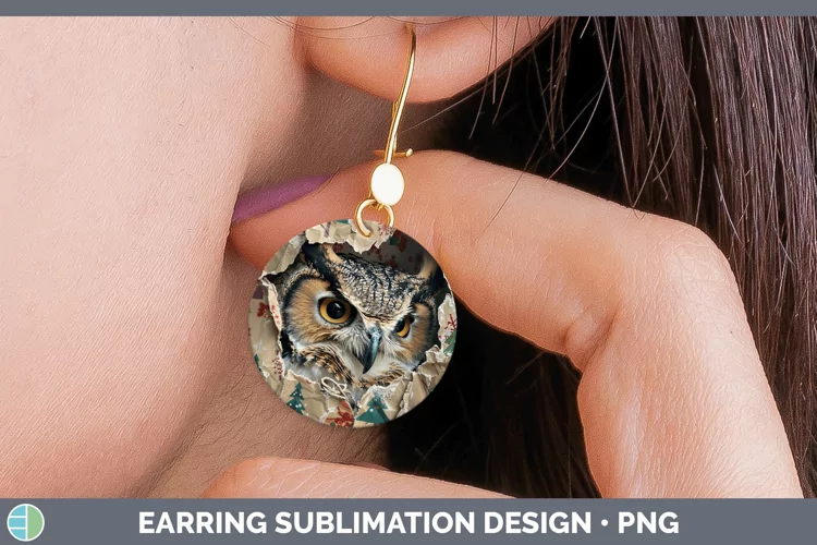 Christmas Wrapping Owl Round Earrings Sublimation Earrings D