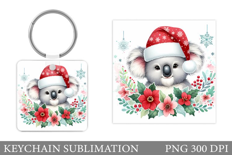 Cute Koala Pictures Image 13