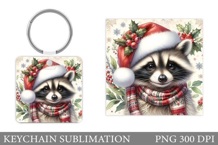Raccoon Clipart Image 17