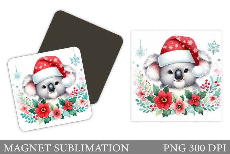 Cute Koala Pictures Image 10
