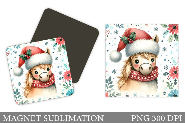 Cute Horse Pictures Image 5