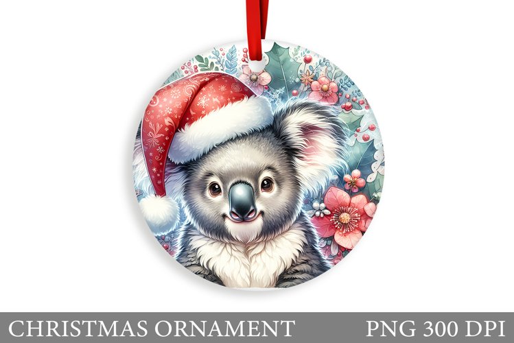 Cute Koala Pictures Image 9
