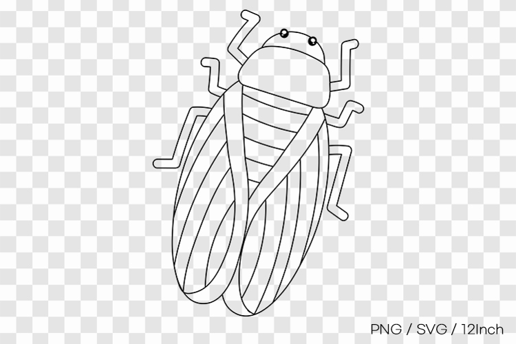 Detailed summer cicada bug big wings PNG animal clipart line
