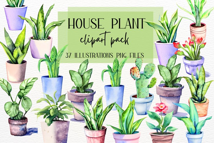 Jungle Clipart Image 17