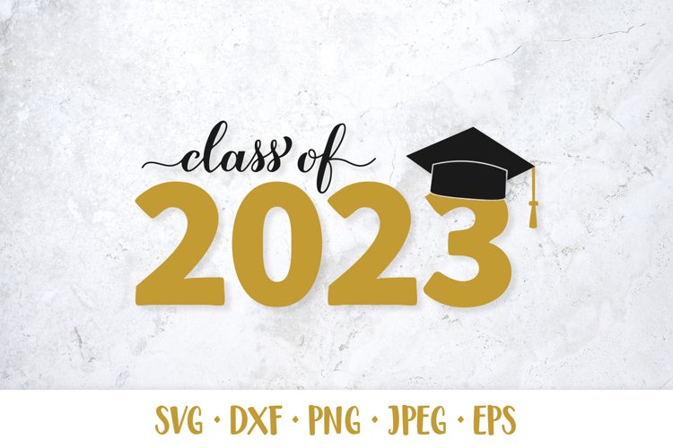Class Of Svg Image 14