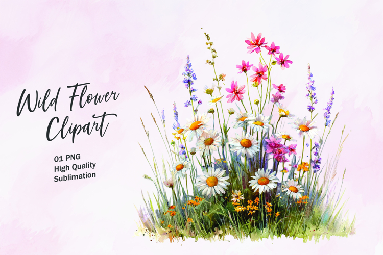 Wildflower watercolor clipart PNG