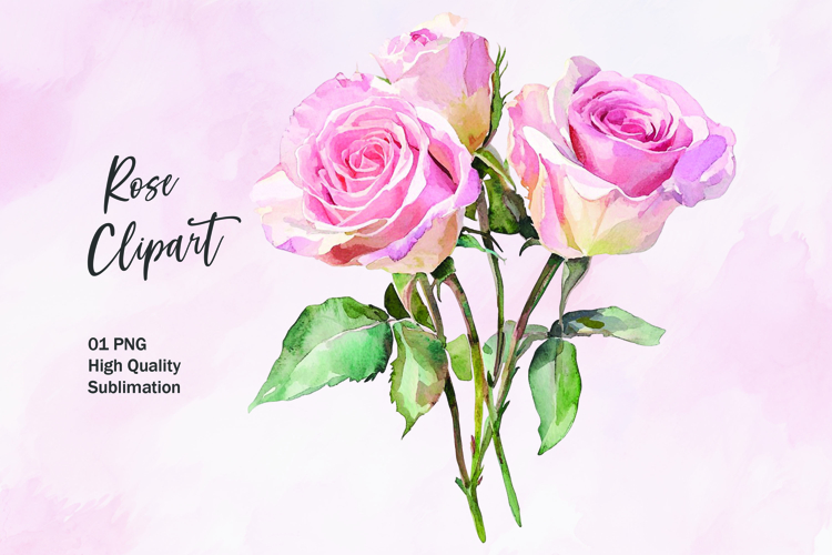 Pink rose watercolor clipart sublimation