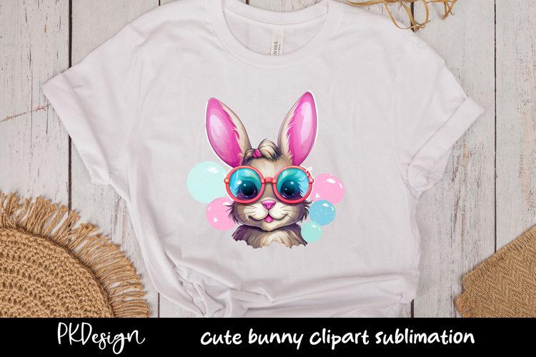 Rabbit Illustration Image 20