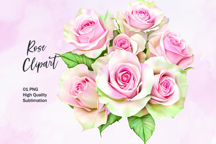Rose Illustration Image 20