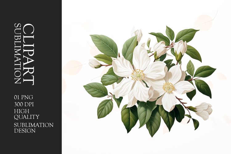 Watercolor jasmine flower clipart sublimation example image 1