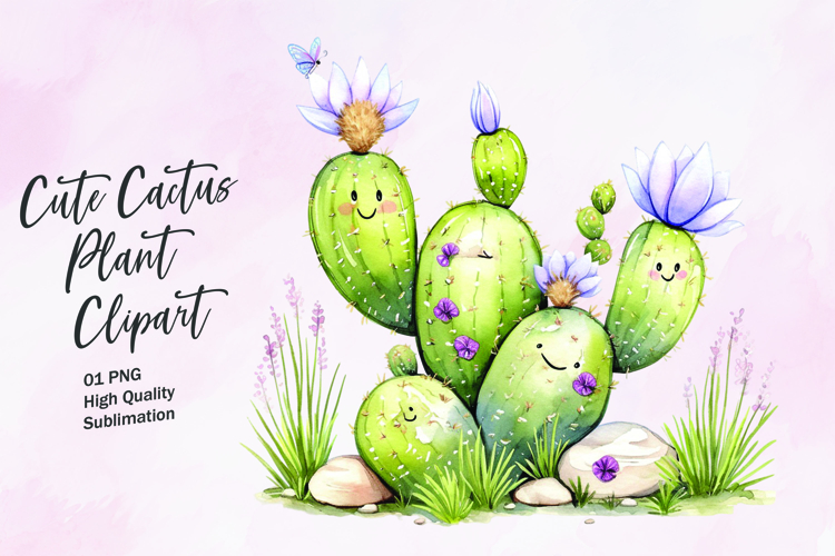 Cute Cactus Pictures Image 9
