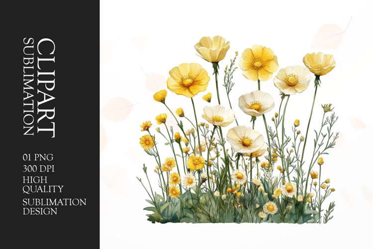 Watercolor buttercups flower clipart sublimation png