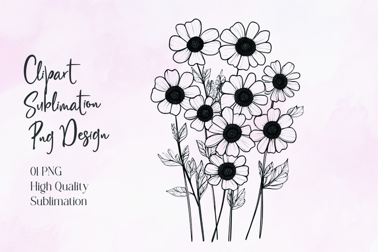 Daisy Illustration