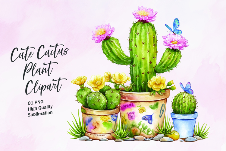 Cute Cactus Pictures Image 4