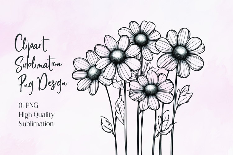 Daisy Illustration Image 24