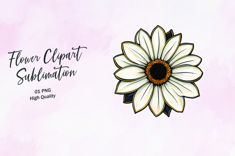 Daisy Png Image 8