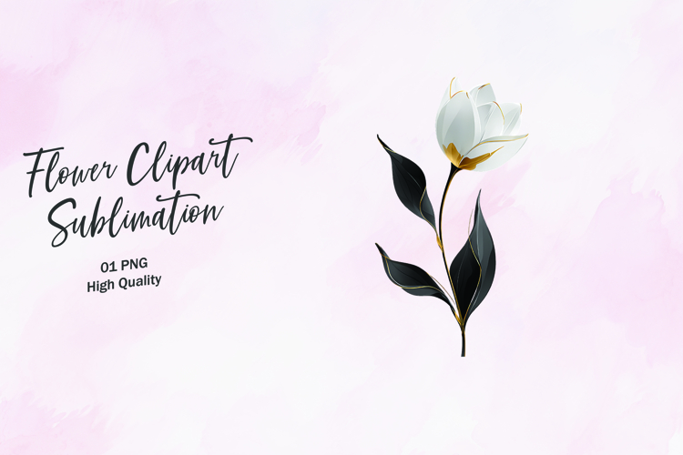 Floral Png Image 21