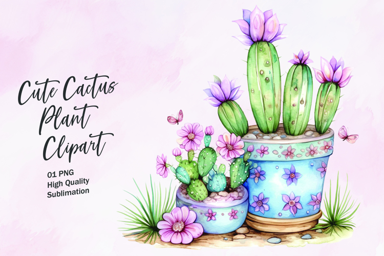 Cute Cactus Pictures Image 5