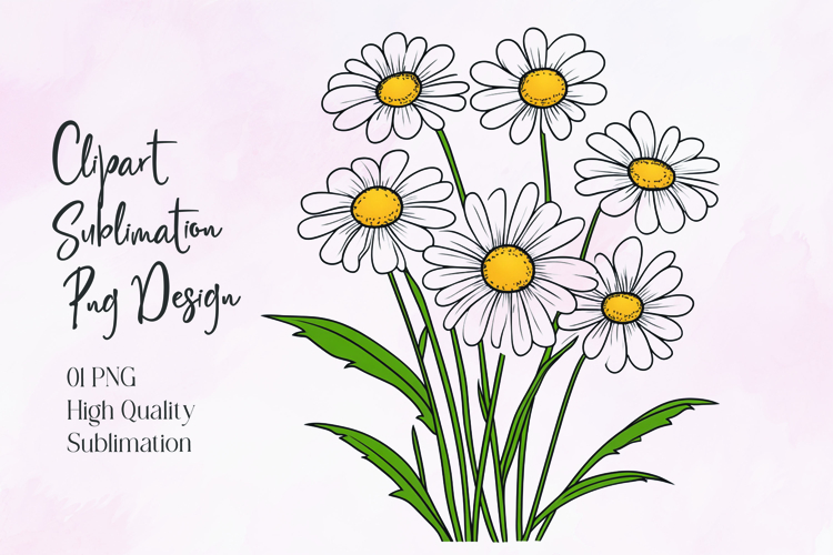 Daisy Illustration Image 23