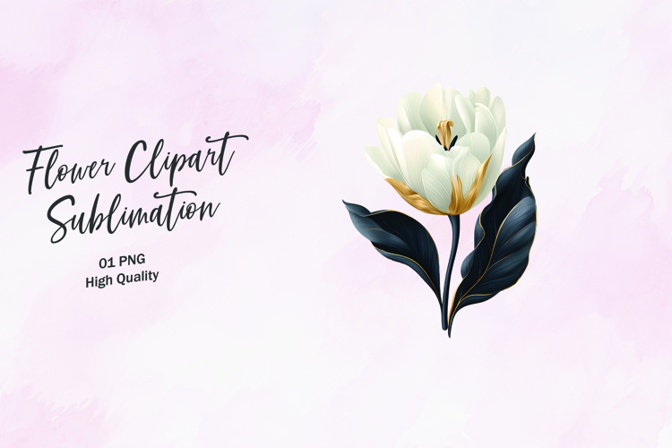 Floral Png Image 20