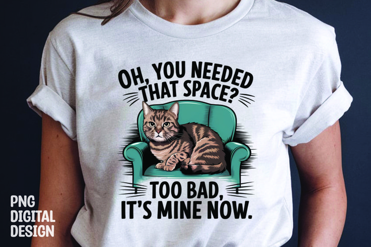 Cat Png Image 16