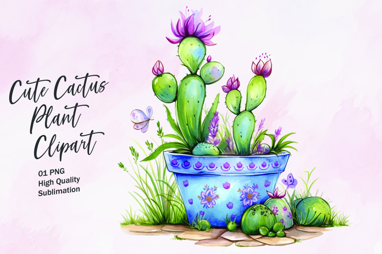 Cute Cactus Pictures Image 6
