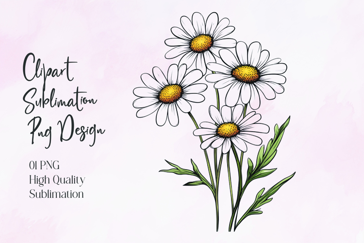 Daisy Illustration Image 21