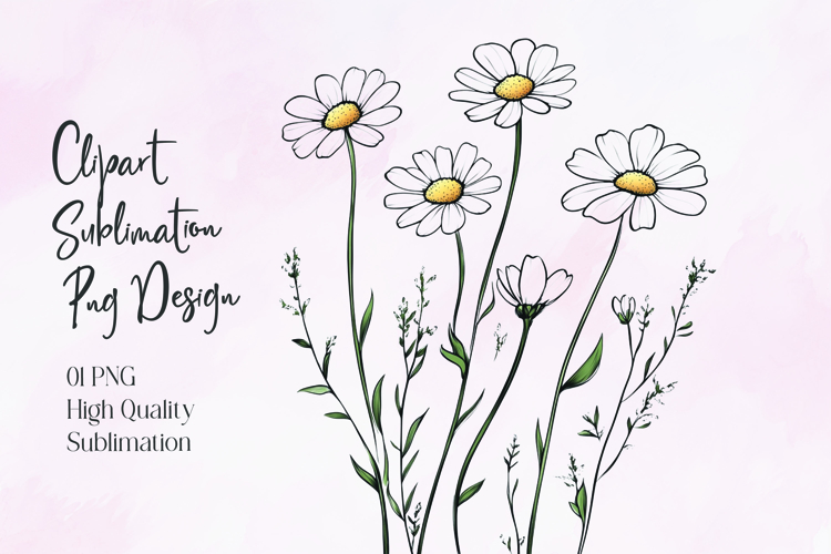 Daisy Illustration Image 22