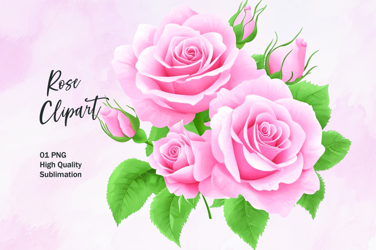 Rose Illustration Image 15