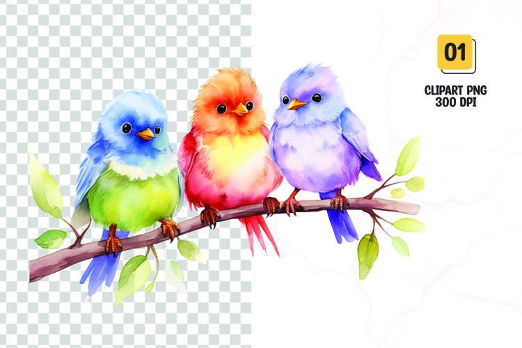 Birds Png Image 21