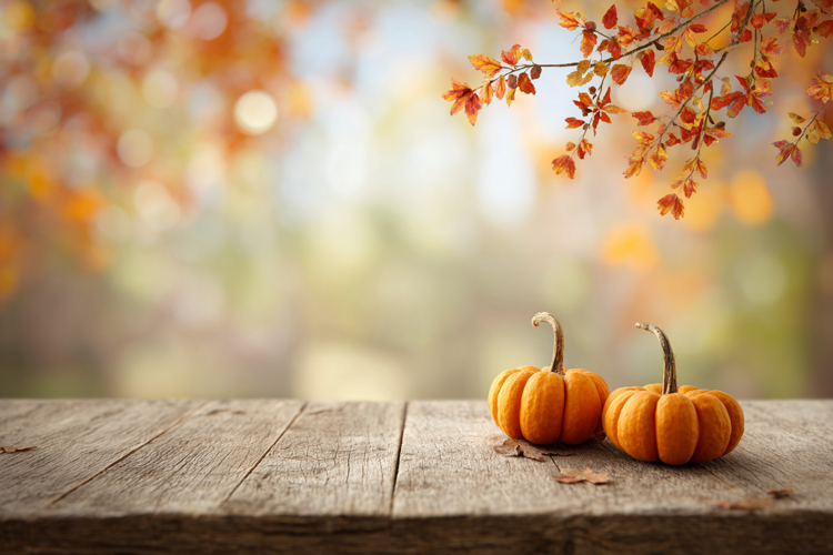 Thanksgiving Background Image 17