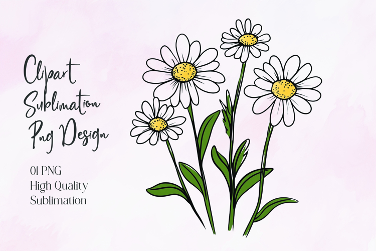 Daisy Illustration Image 20