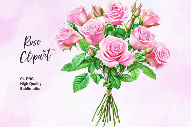 Rose Illustration Image 16