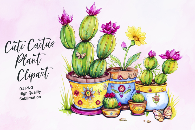 Cute Cactus Pictures Image 4