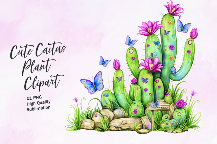 Cute Cactus Pictures Image 24