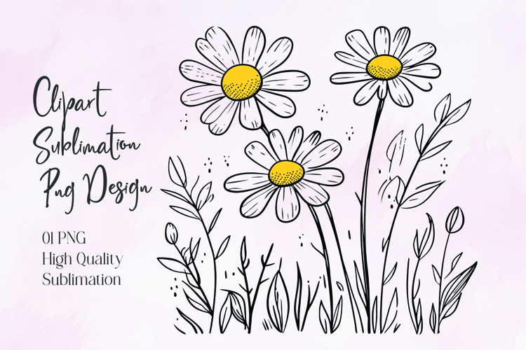 Daisy Illustration Image 19