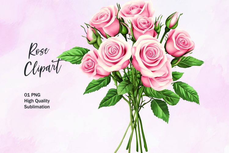 Rose Illustration Image 13