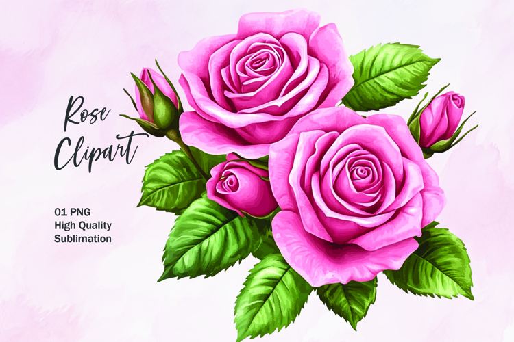 Rose Illustration Image 14