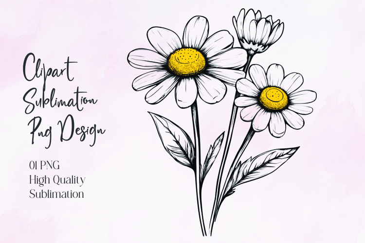Daisy Illustration Image 17
