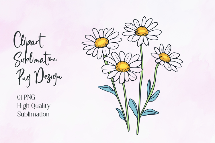 Daisy Illustration Image 18
